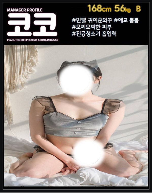 코코.jpg