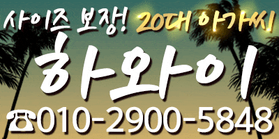 하와이 배너.gif