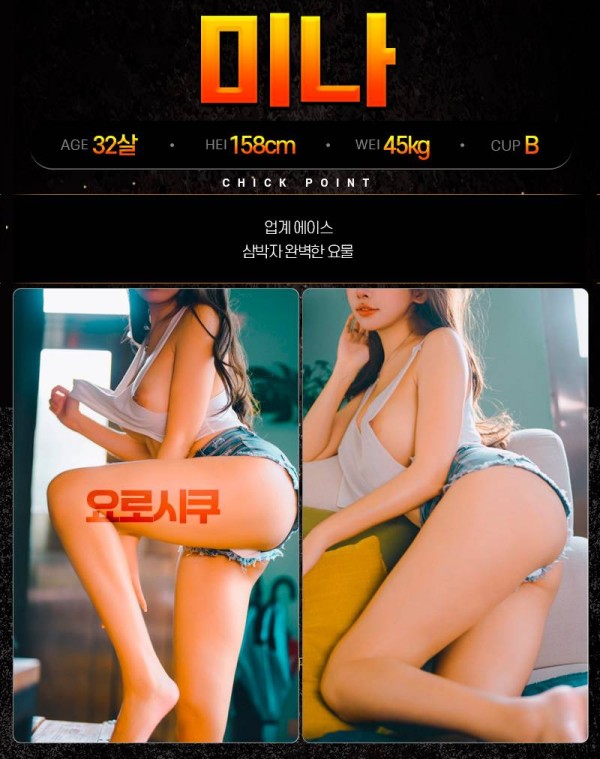 요로시쿠 프로필-미나.jpg